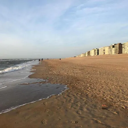 Lejlighed By Belgian Sea And Dunes *