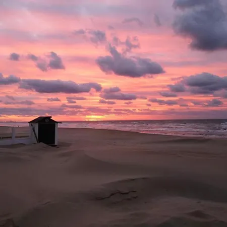 Appartement By Belgian Sea And Dunes *