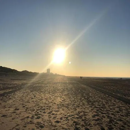 By Belgian Sea And Dunes