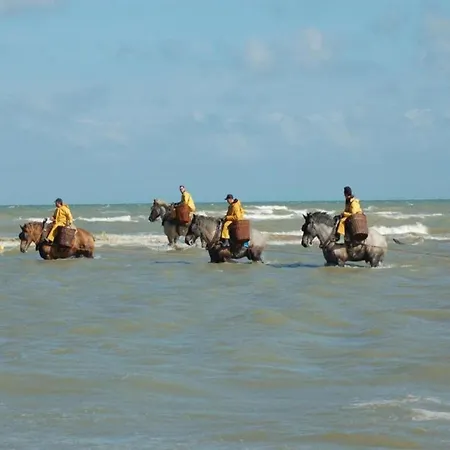 Lejlighed By Belgian Sea And Dunes