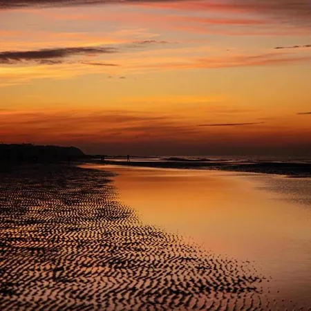 By Belgian Sea And Dunes