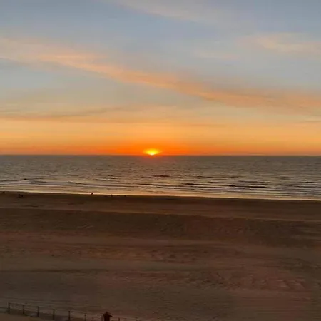 By Belgian Sea And Dunes Koksijde