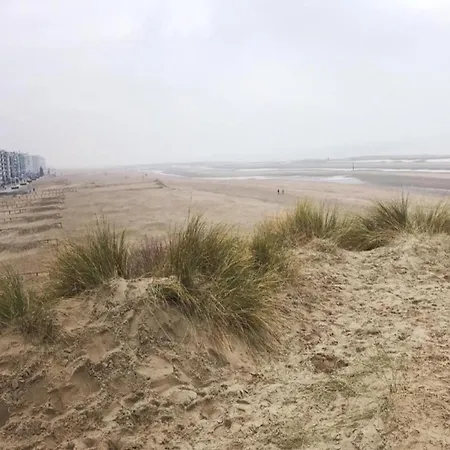 By Belgian Sea And Dunes * Coxyde