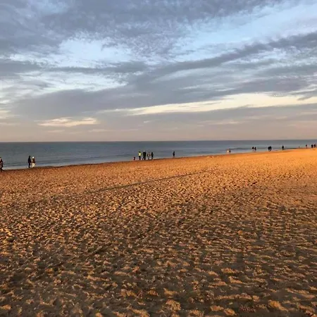 By Belgian Sea And Dunes Lejlighed *