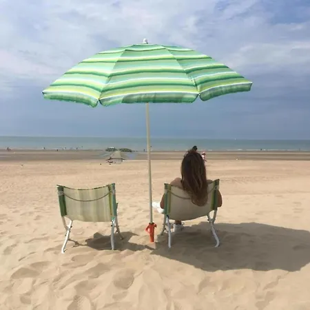 By Belgian Sea And Dunes Appartement